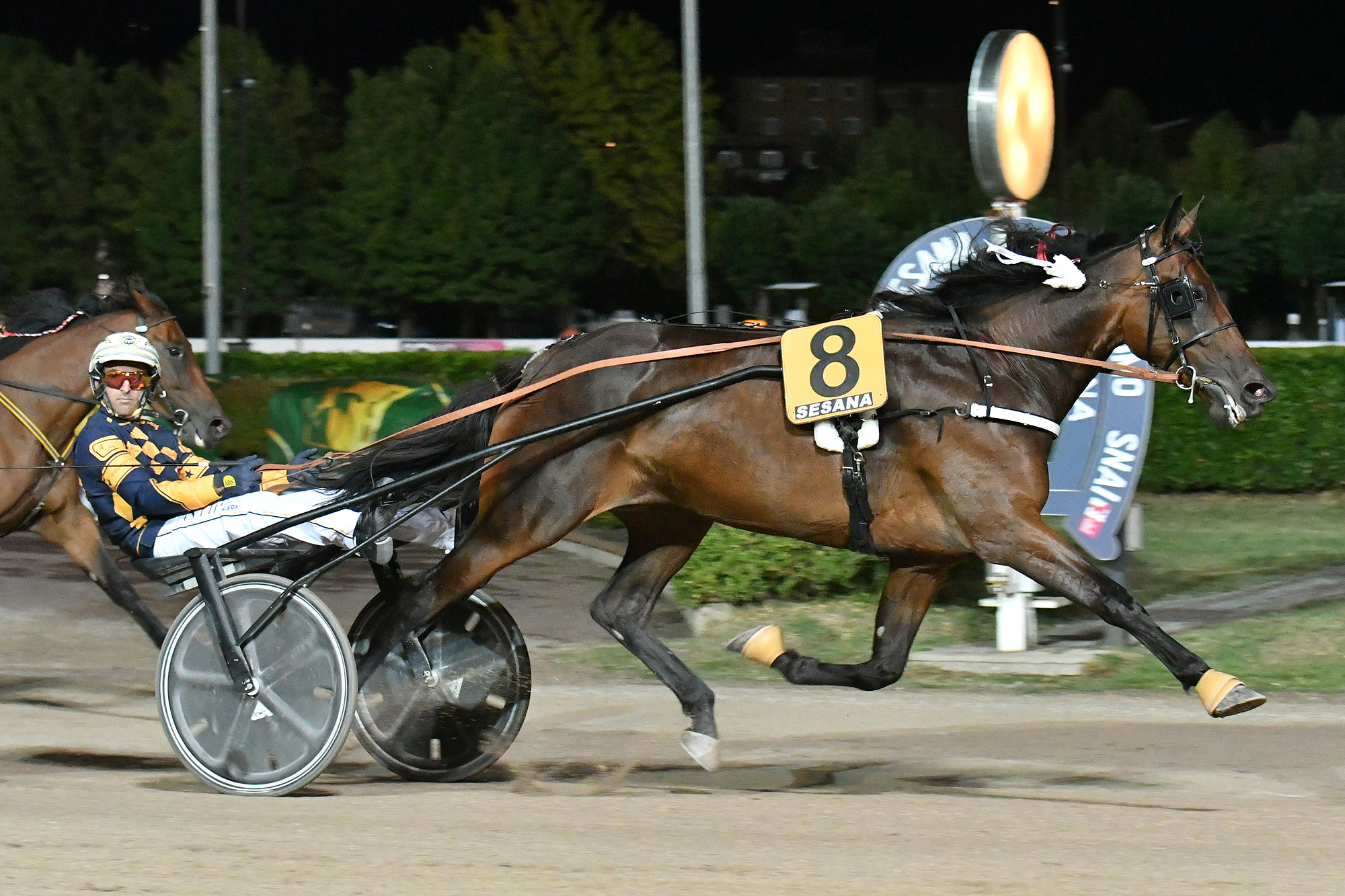 Il giovedì di trotto all'Ippodromo SNAI Sesana 1 Ippodromo SNAI Sesana Corsa 6 di trotto Premio Kurasyn PB
