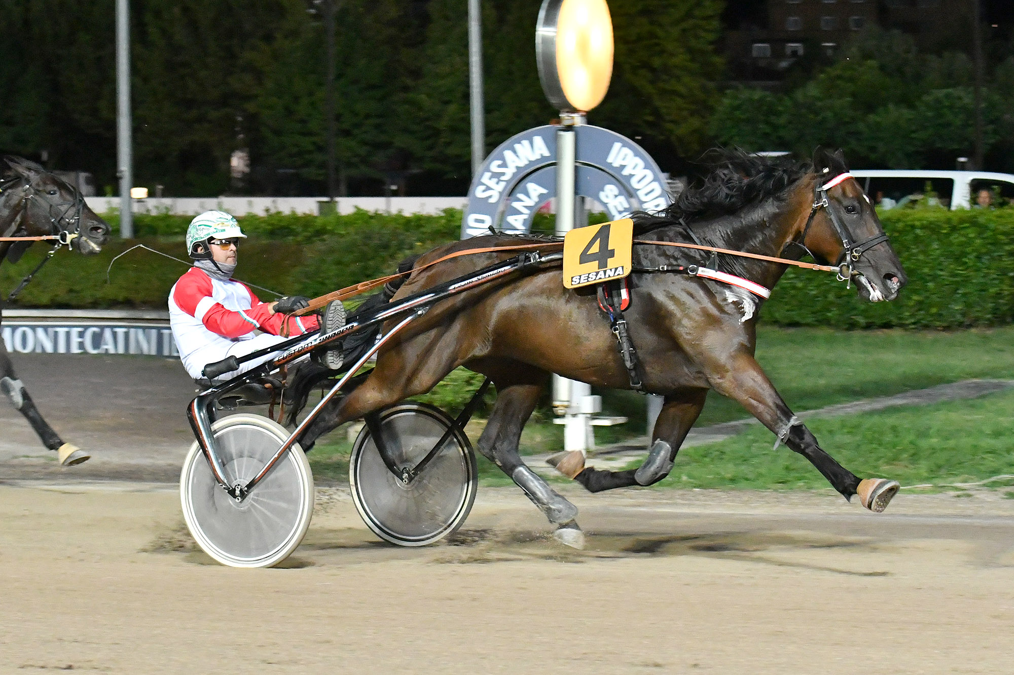 CORSA 6 PREMIO SCUDERIA GIOVE PLUVIO all'Ippodromo SNAI Sesana