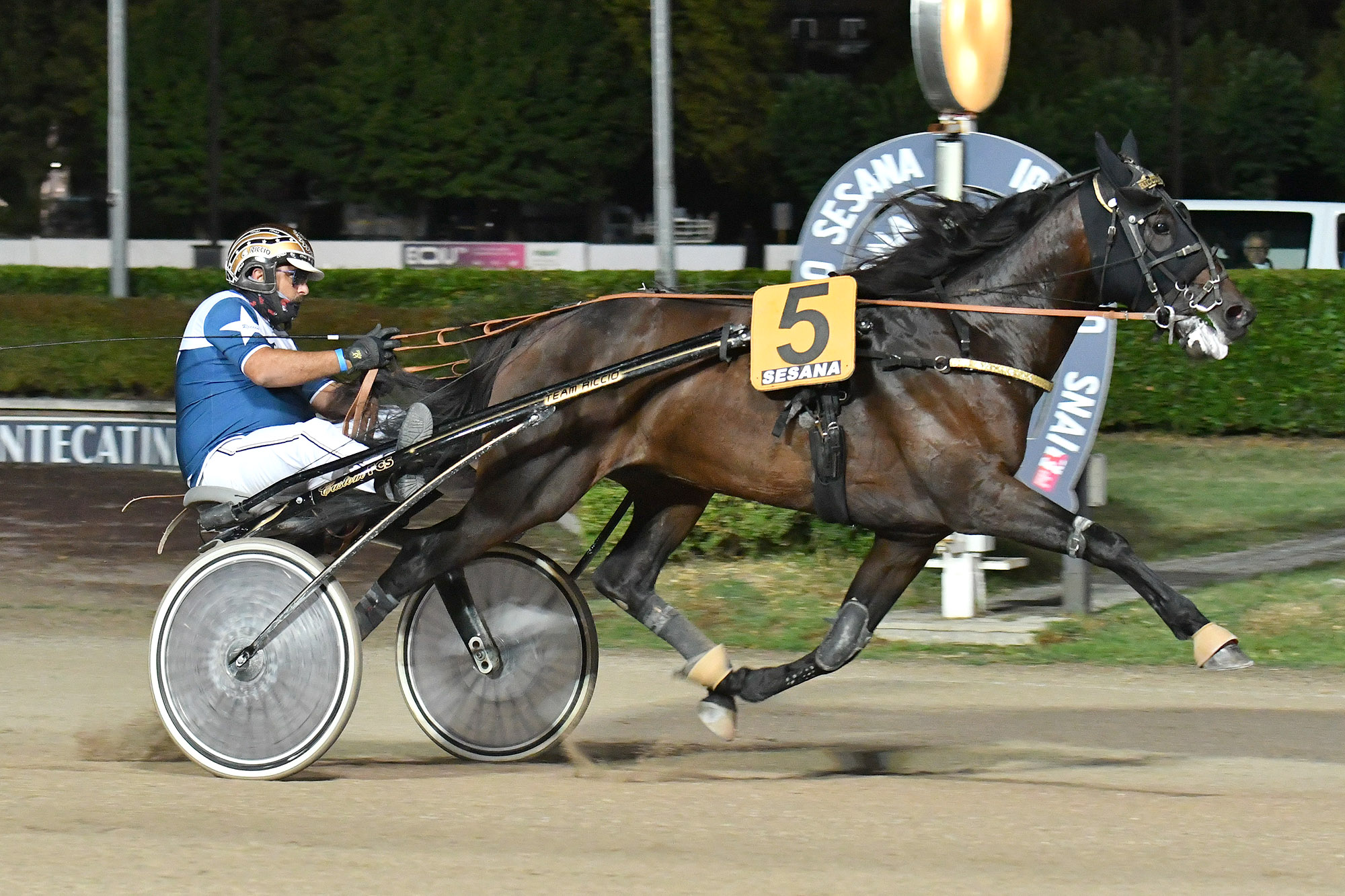 All’Ippodromo Snai Sesana, brilla Zermatt Key nel Premio Bath 4 CORSA6 PREMIO SPA IV PROVA TROFEO SESANA