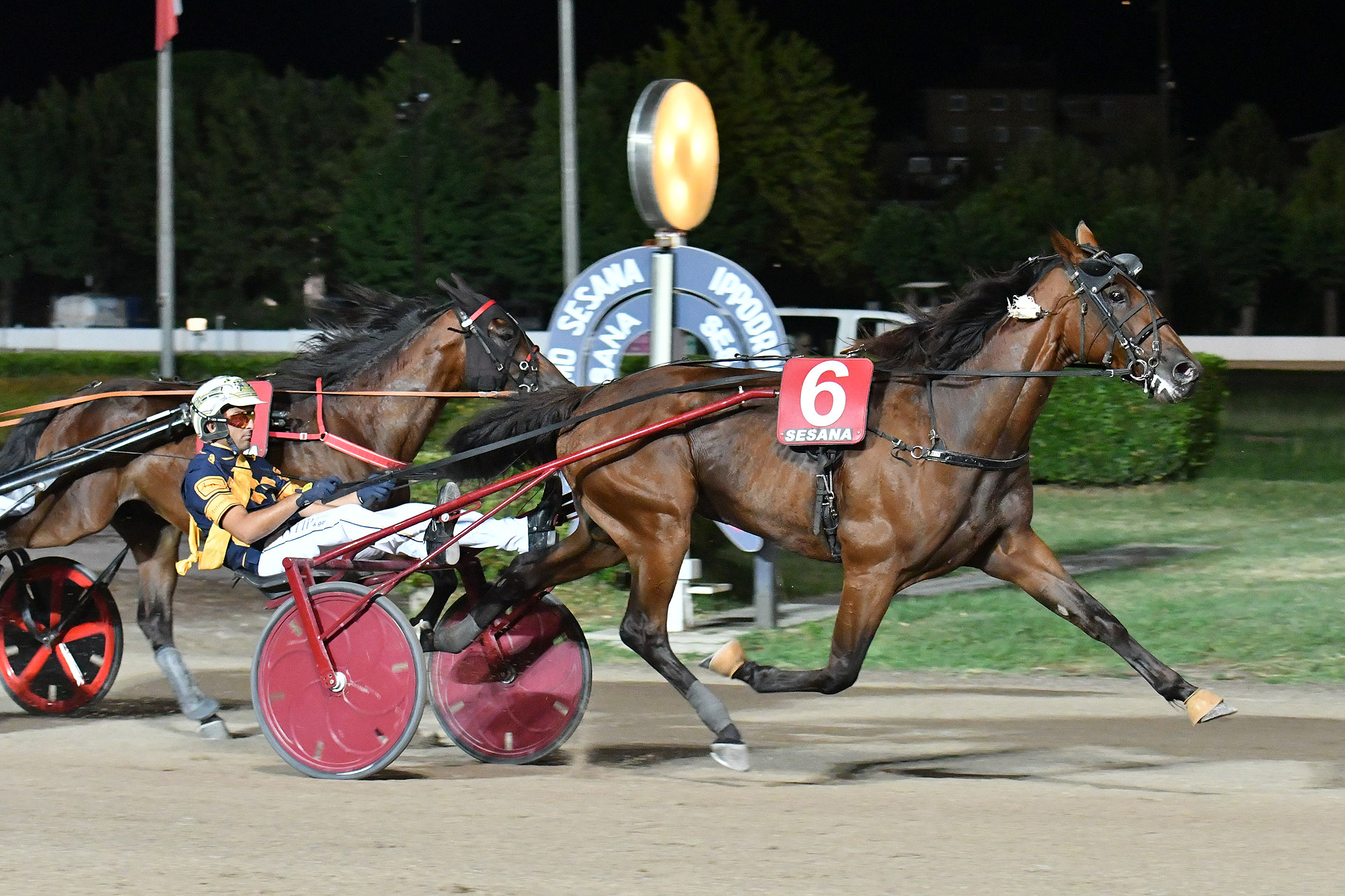All’Ippodromo Snai Sesana nel Gran Premio Società Terme dominio di Edy Girifalco Gio 9 CORSA7 PREMIO ELIANO
