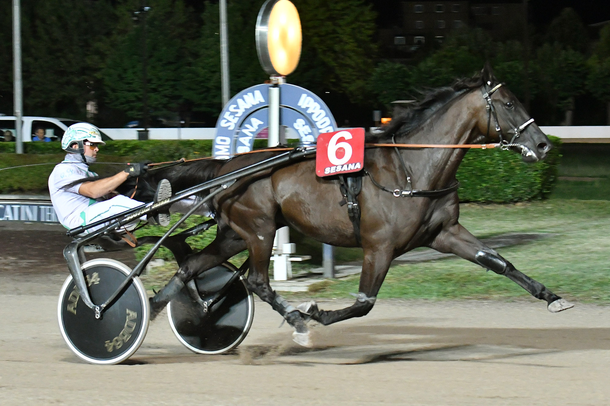 All'Ippodromo SNAI Sesana giovedì sera di corse in ricordo di Roberto Andreghetti 2 CORSA7 PREMIO ROMANO NESTI