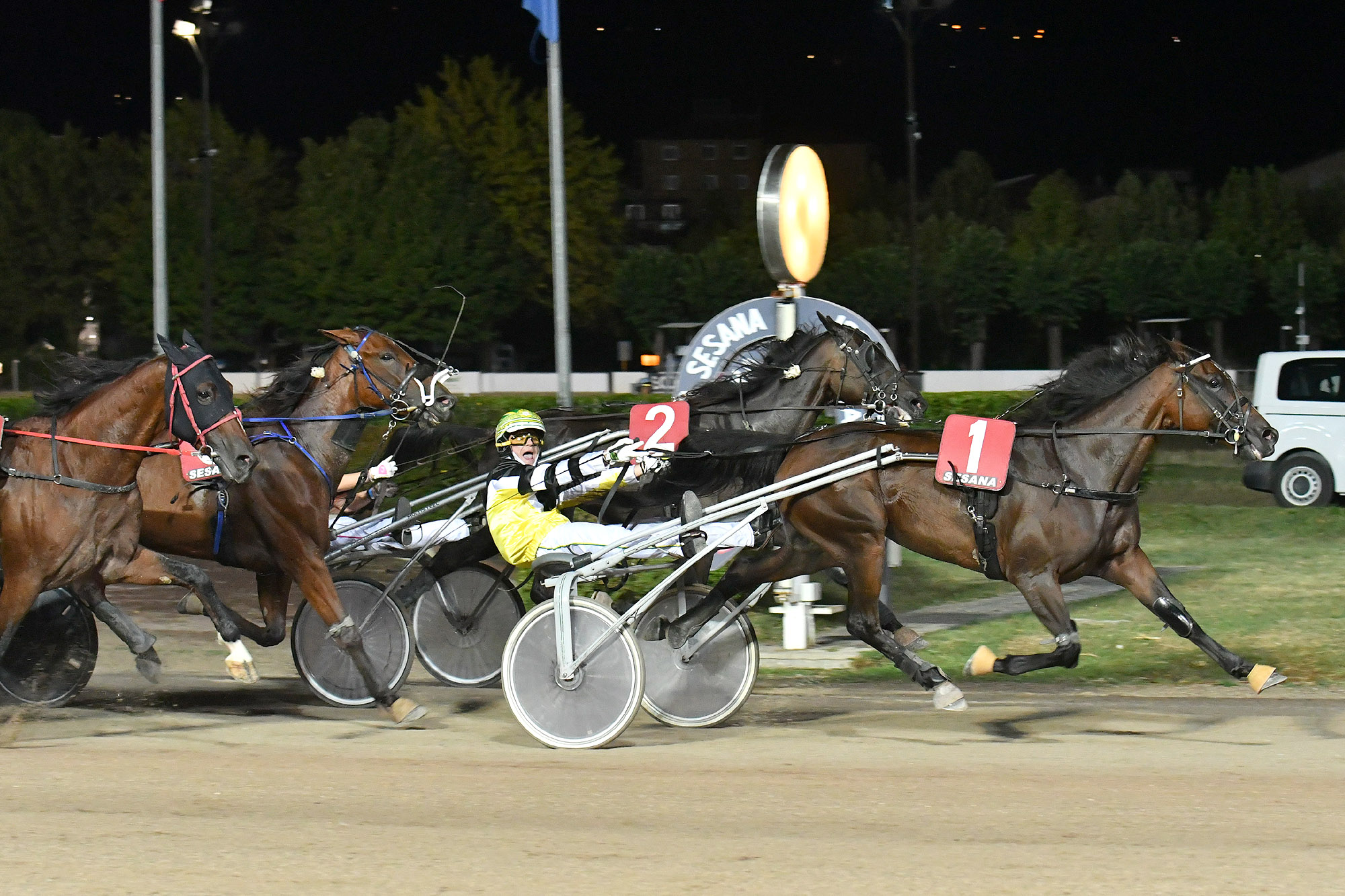All’Ippodromo Snai Sesana, brilla Zermatt Key nel Premio Bath 7 CORSA7 PREMIO TERME GERMANIA