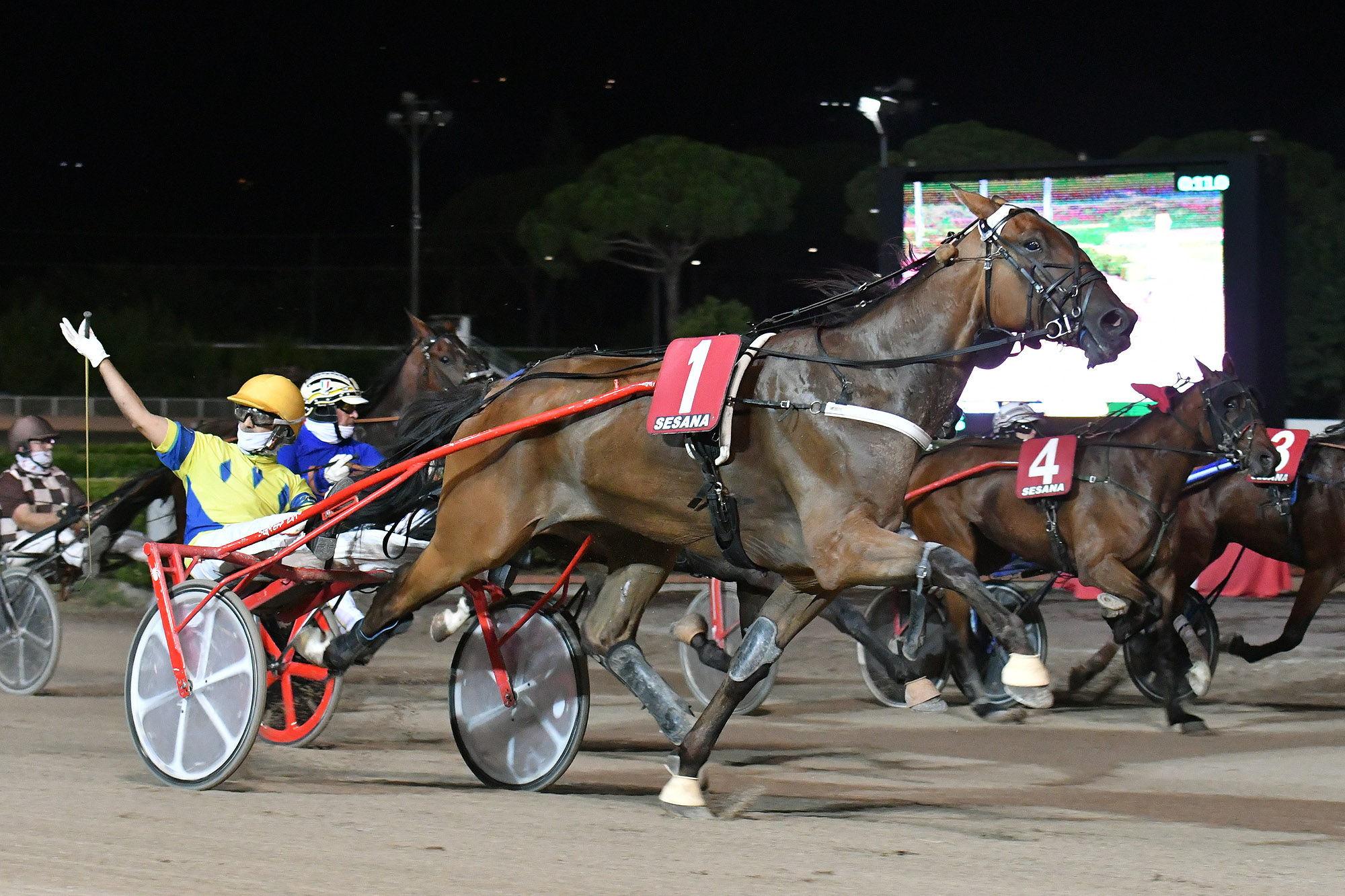 Ippodromo SNAI Sesana: Valpicetto Jet firma il Premio dedicato a Cesare Meli di giovedì sera 2 CORSA7 PREMIO ZIGFIELD 2004
