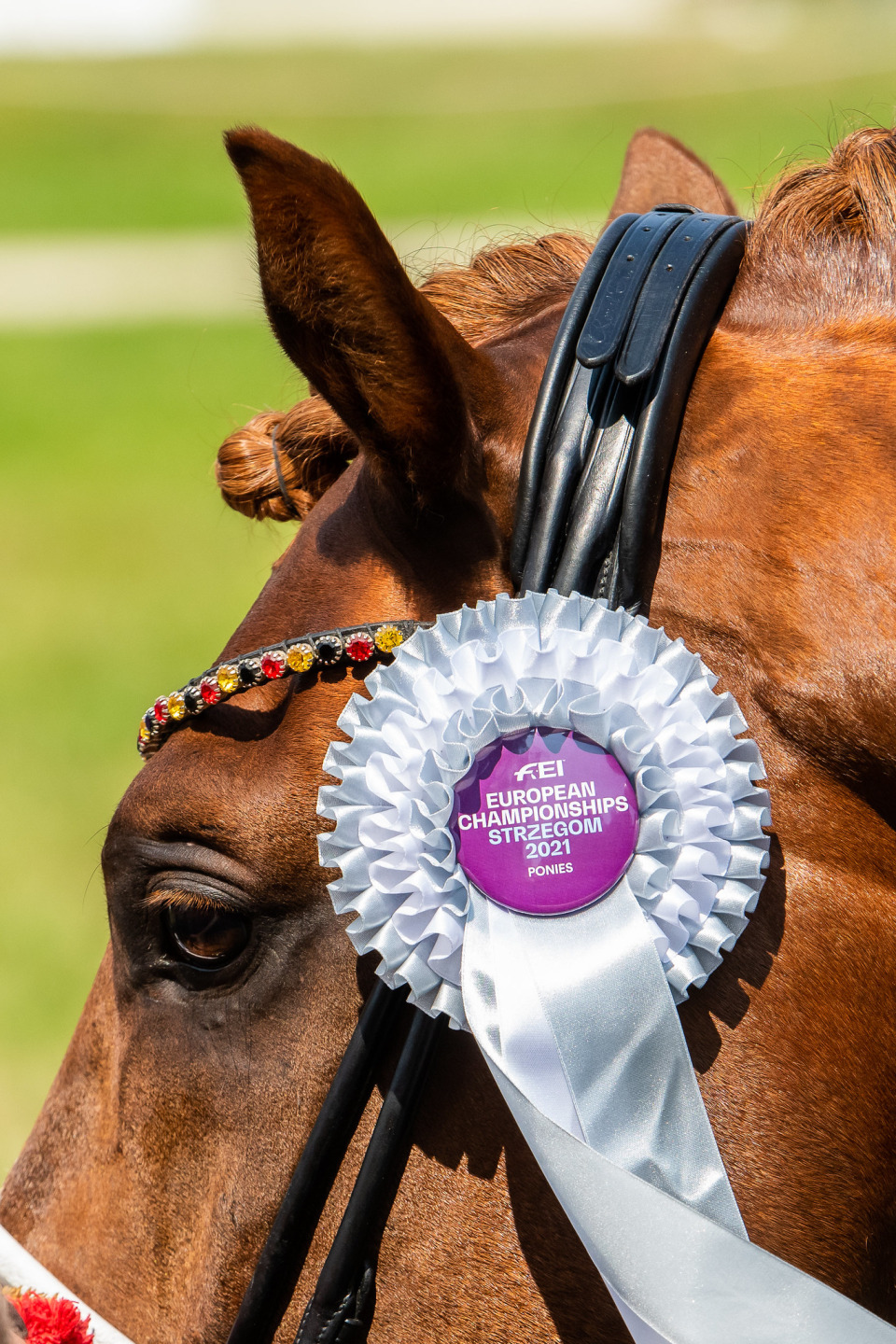 FEI Pony European Championships 2021 Strzegom Photo Copyright FEI Lukasz Kowalski