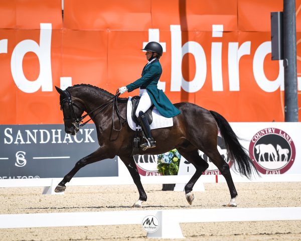 Erin Silo and Jett. All photos ©divineequine.ca