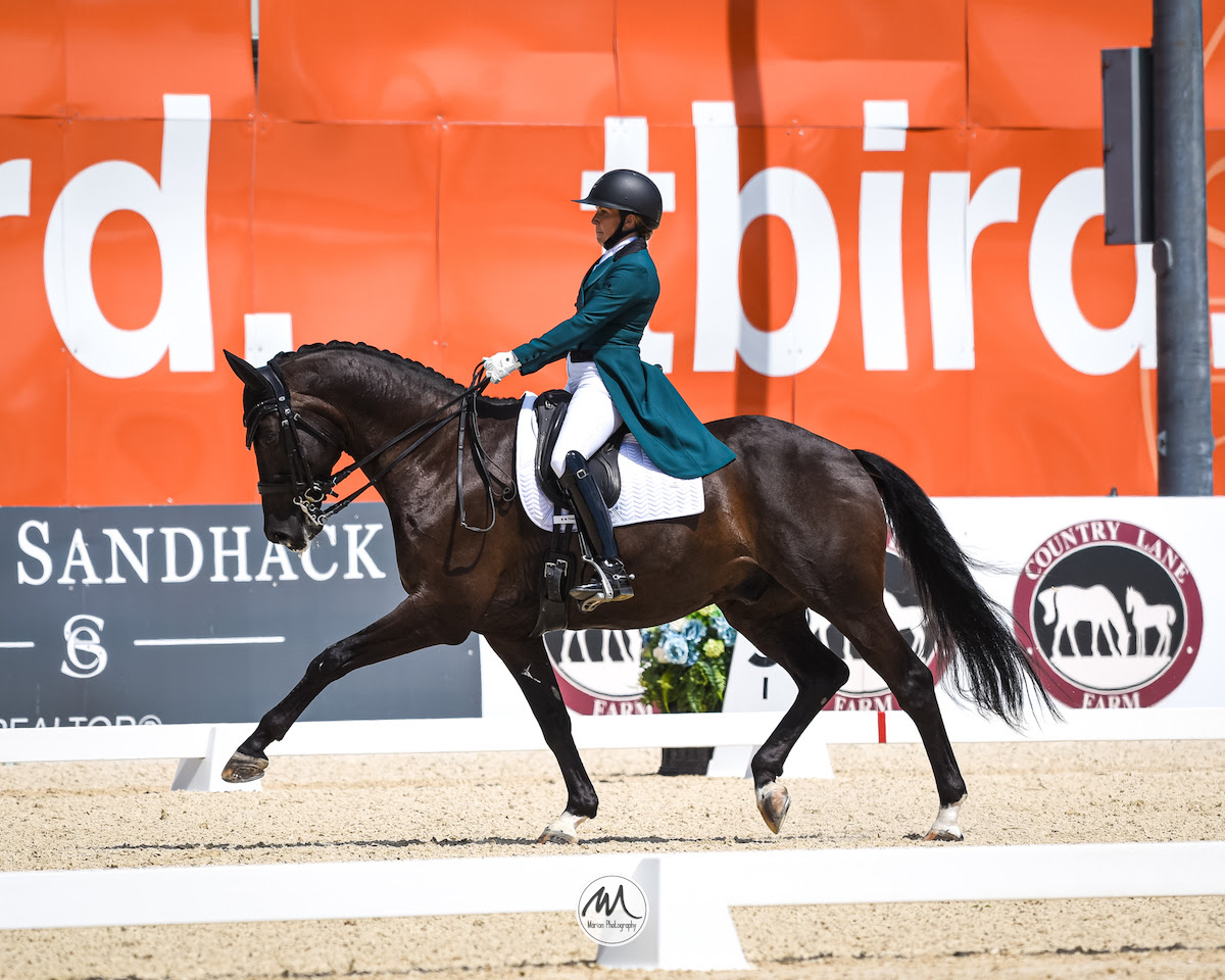 Erin Silo's "Dance Monkey" Scores New Personal BestLangley 1 Erin Silo and Jett. All photos ©divineequine.ca