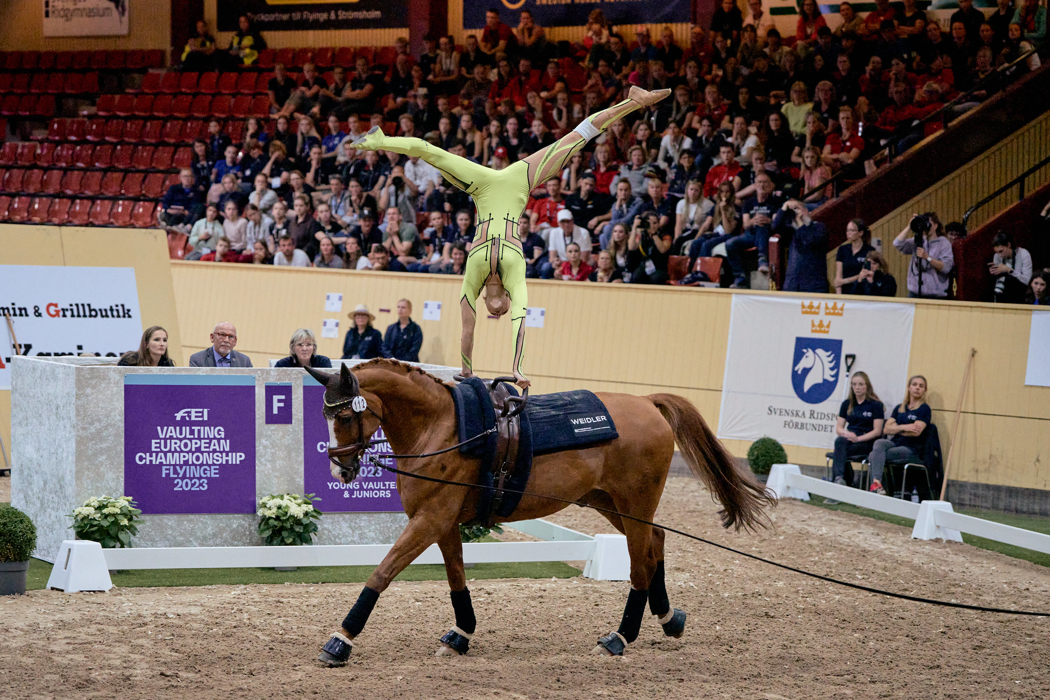 Volteggio: i Campionati Mondiali giovanili ed Europei senior 2023 1 Volteggio: Campionati Europei senior a Flyinge (SWE) - Campionessa Senior individuale Kathrin MEYER su SAN CLASSICO S
