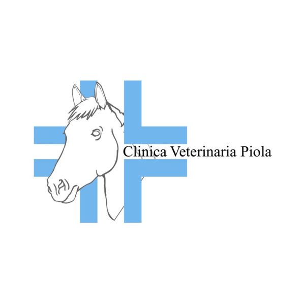 Understanding Equine Health: Diagnosis and Treatment of Common Conditions 2 clinica veterina piola logo