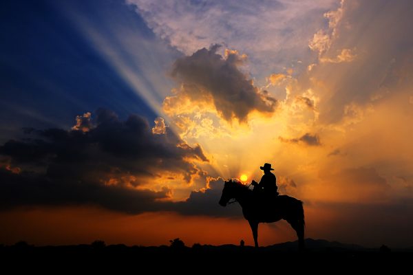 cowboy a cavallo al tramonto le origini del reining
