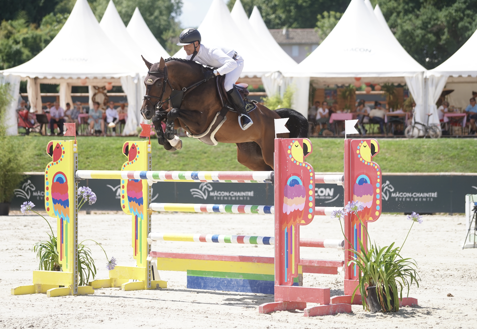 Pius Schwizer su Chill MA al Jumping International Mâcon Chaintré durante il Prix Mâconnaise da 1,50 m