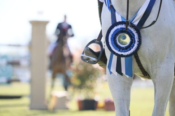 Toscana Tour 2023: Rodrigo Giesteira Almeida vince la 1,45 m GP qualifier Gold Tour di Arezzo 9 Risultati Toscana Tour 2023