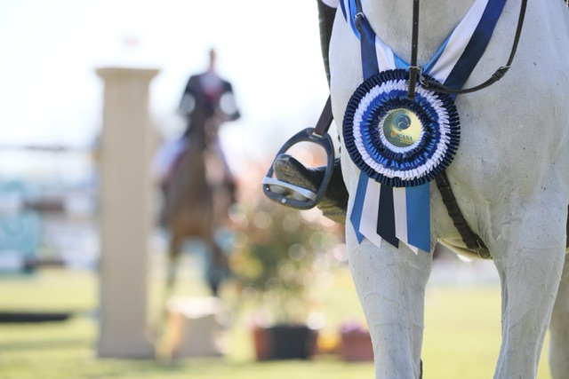 Toscana Tour 2023: Rodrigo Giesteira Almeida vince la 1,45 m GP qualifier Gold Tour di Arezzo 1 Risultati Toscana Tour 2023