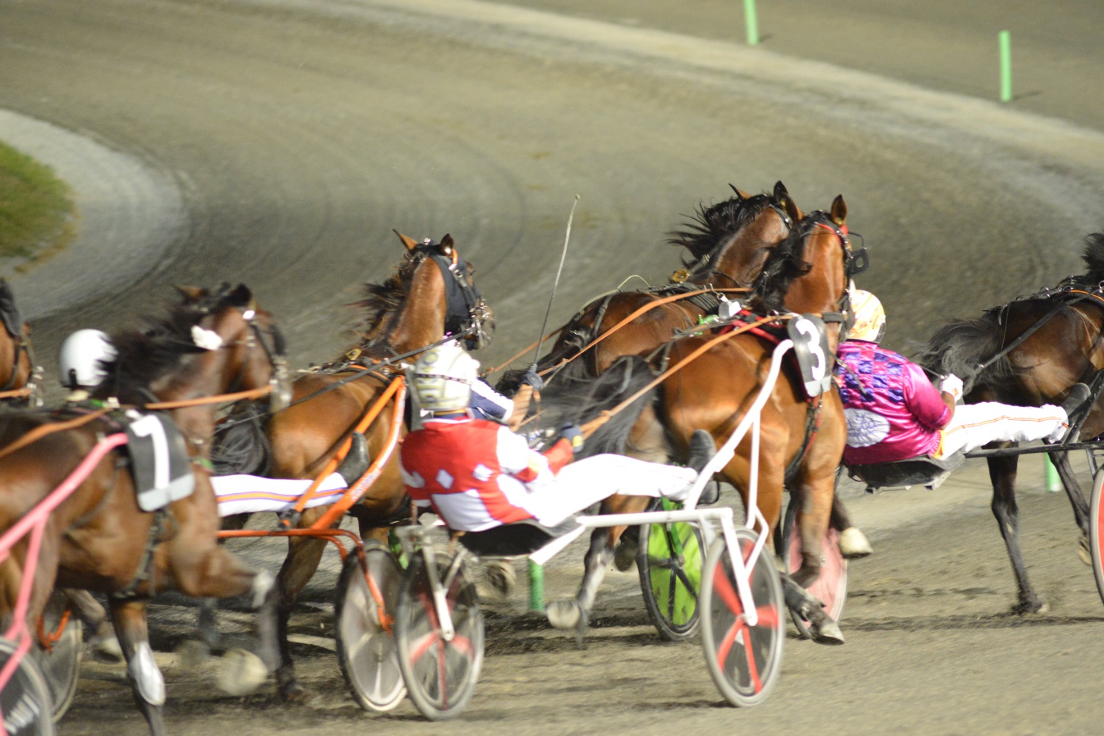 Ippodromo San Paolo di Montegiorgio, corsa di trotto del 20 agosto in vista del Palio dei Comuni 2023