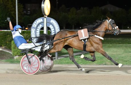 All’Ippodromo SNAI Sesana, nel primo sabato d’agosto la corsa delle Pariglie va a Country Gial e Cabral di Casei 8 CORSA2 PREMIO NENE DEGLI ULIVI