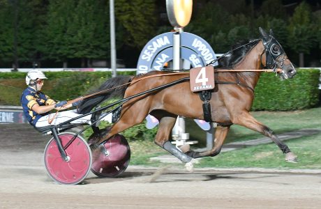 Il giovedì di trotto all’Ippodromo SNAI Sesana la forza di Cris di Cavallina nel Premio Auto 3 2 CORSA2 PREMIO SCUDERIA CURI