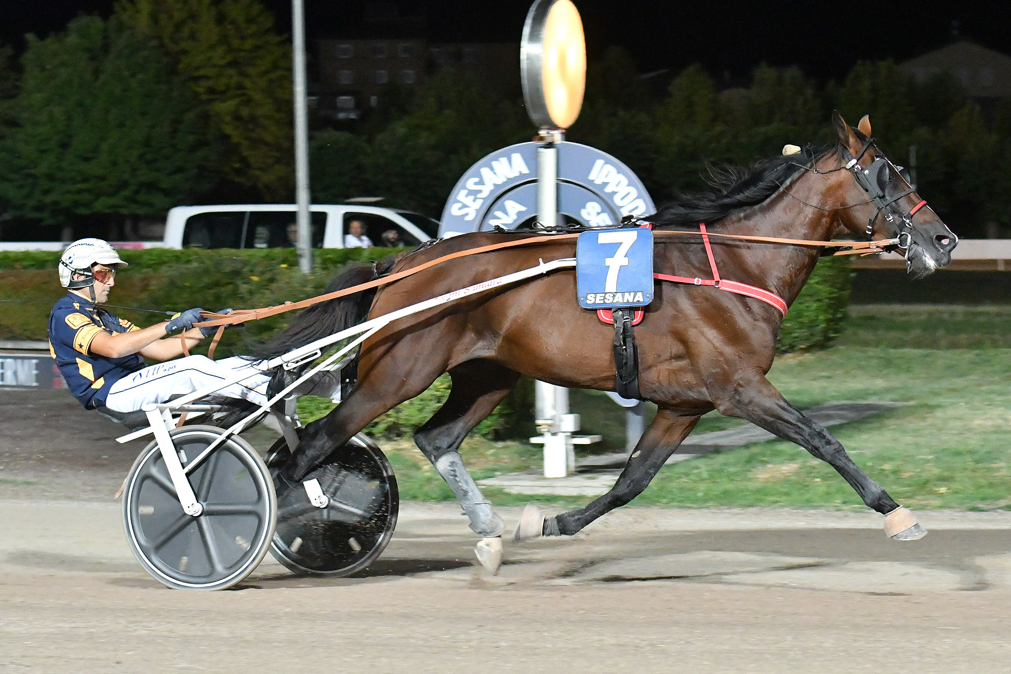 Il giovedì di trotto all’Ippodromo SNAI Sesana la forza di Cris di Cavallina nel Premio Auto 3 1 CORSA5_PREMIO AUTO 3