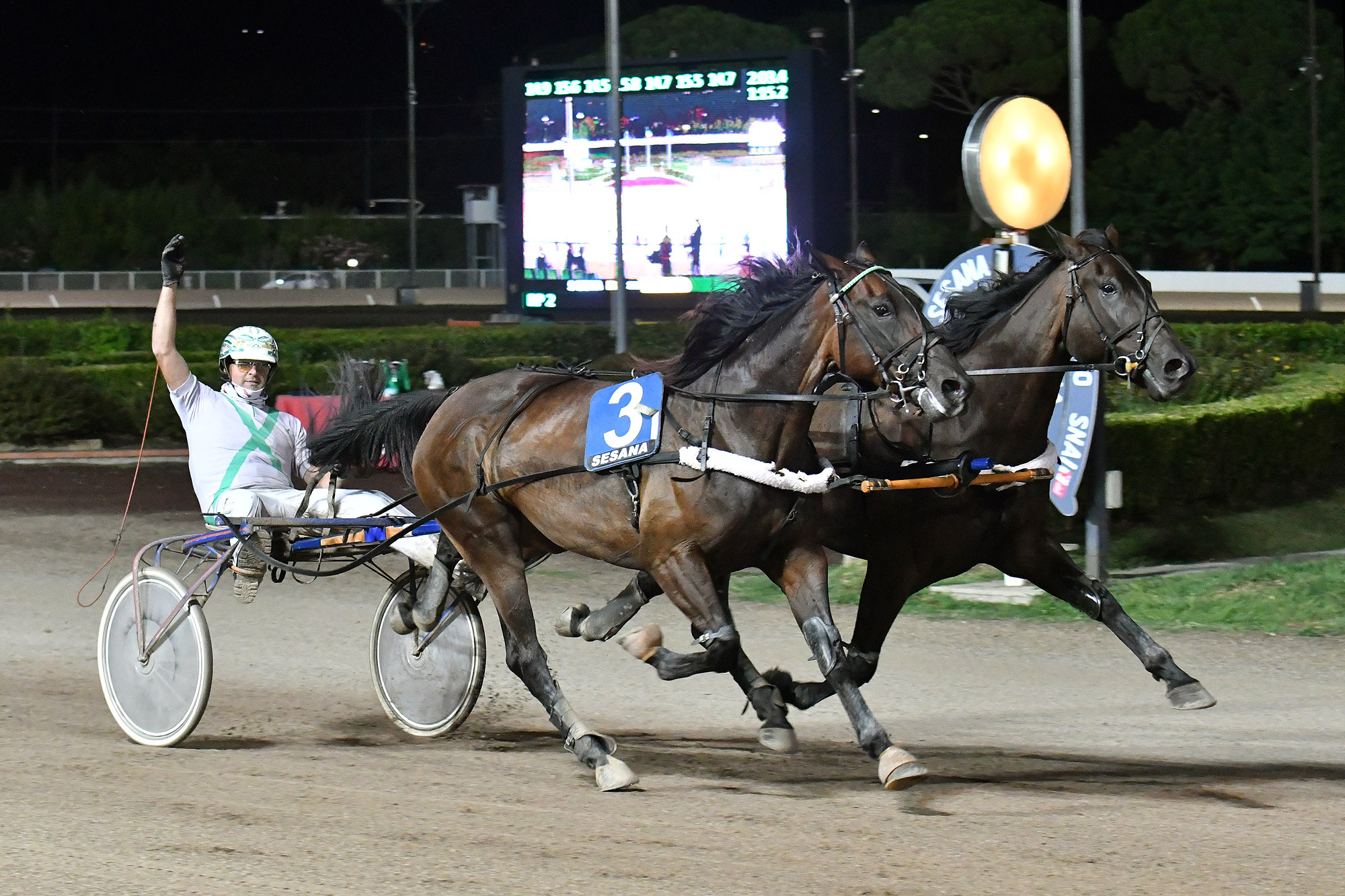 All’Ippodromo SNAI Sesana, nel primo sabato d’agosto la corsa delle Pariglie va a Country Gial e Cabral di Casei 2 CORSA5 PREMIO QN LA NAZIONE PARIGLIE ARRIVO