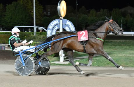 All’Ippodromo SNAI Sesana, nel primo sabato d’agosto la corsa delle Pariglie va a Country Gial e Cabral di Casei 11 CORSA7 PREMIO DAVIDE BALDI