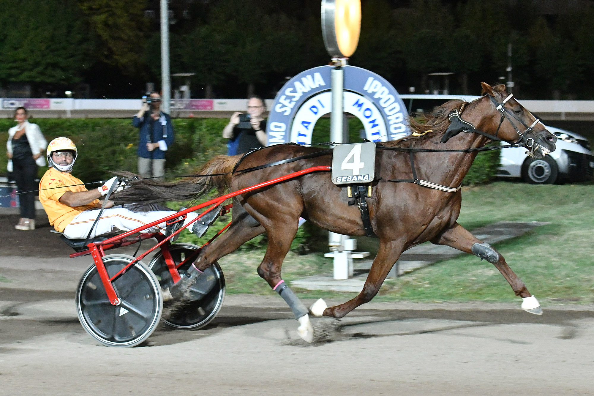 Vernissage Grif e Alessandro Gocciadoro all'arrivo nel Gran Premio Città di Montecatini all'Ippodromo SNAI Sesana