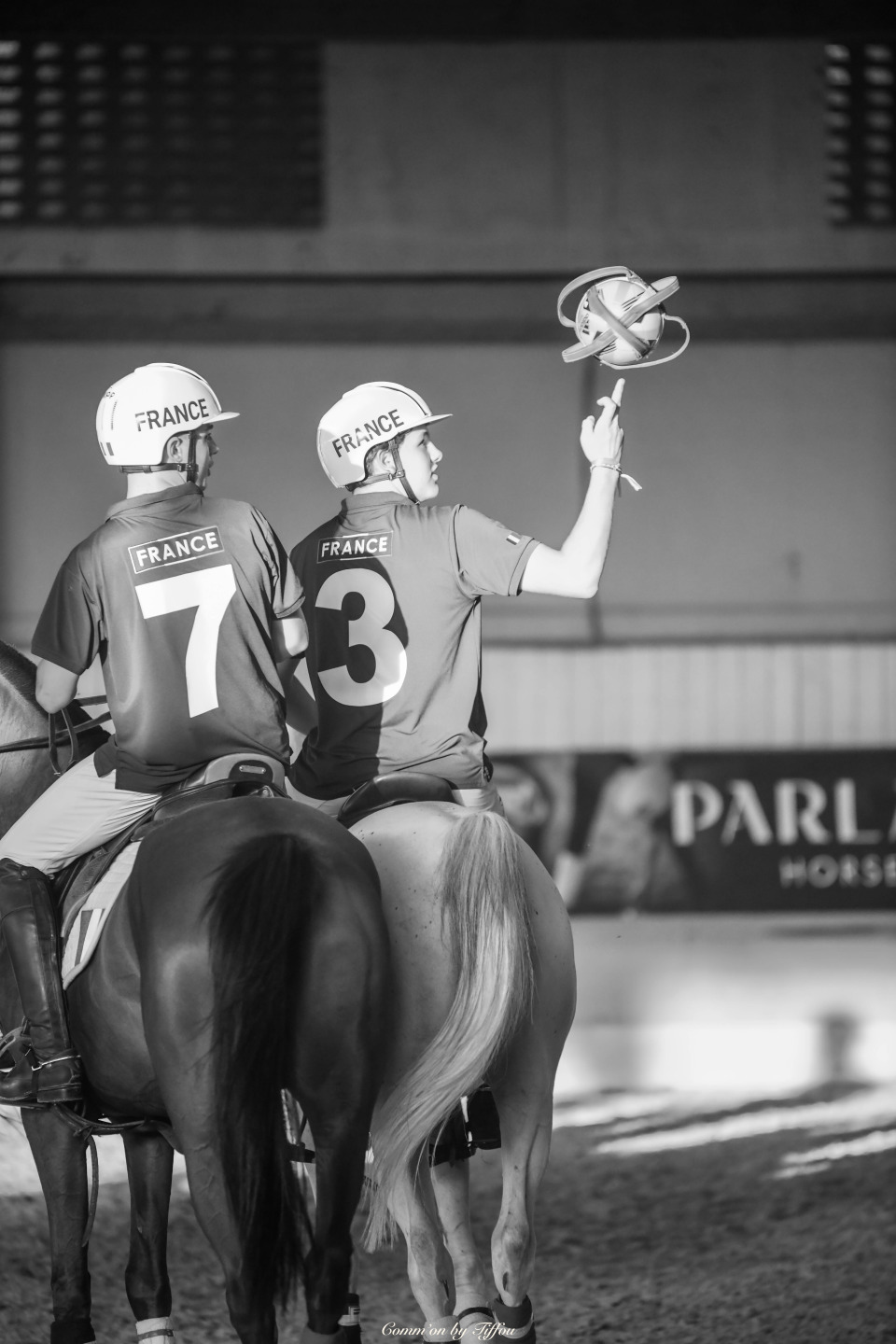 Campionati Europei di Horseball