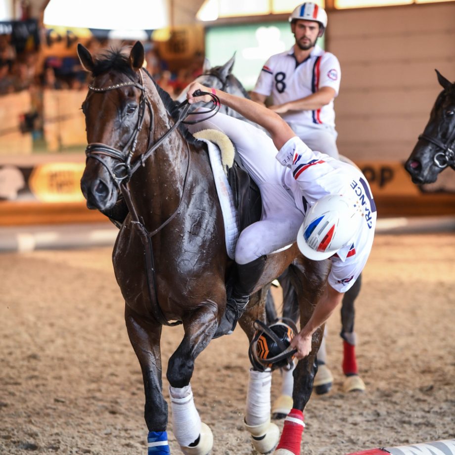 Campionati Europei di Horseball, il quarto giorno 4 DSC 2125