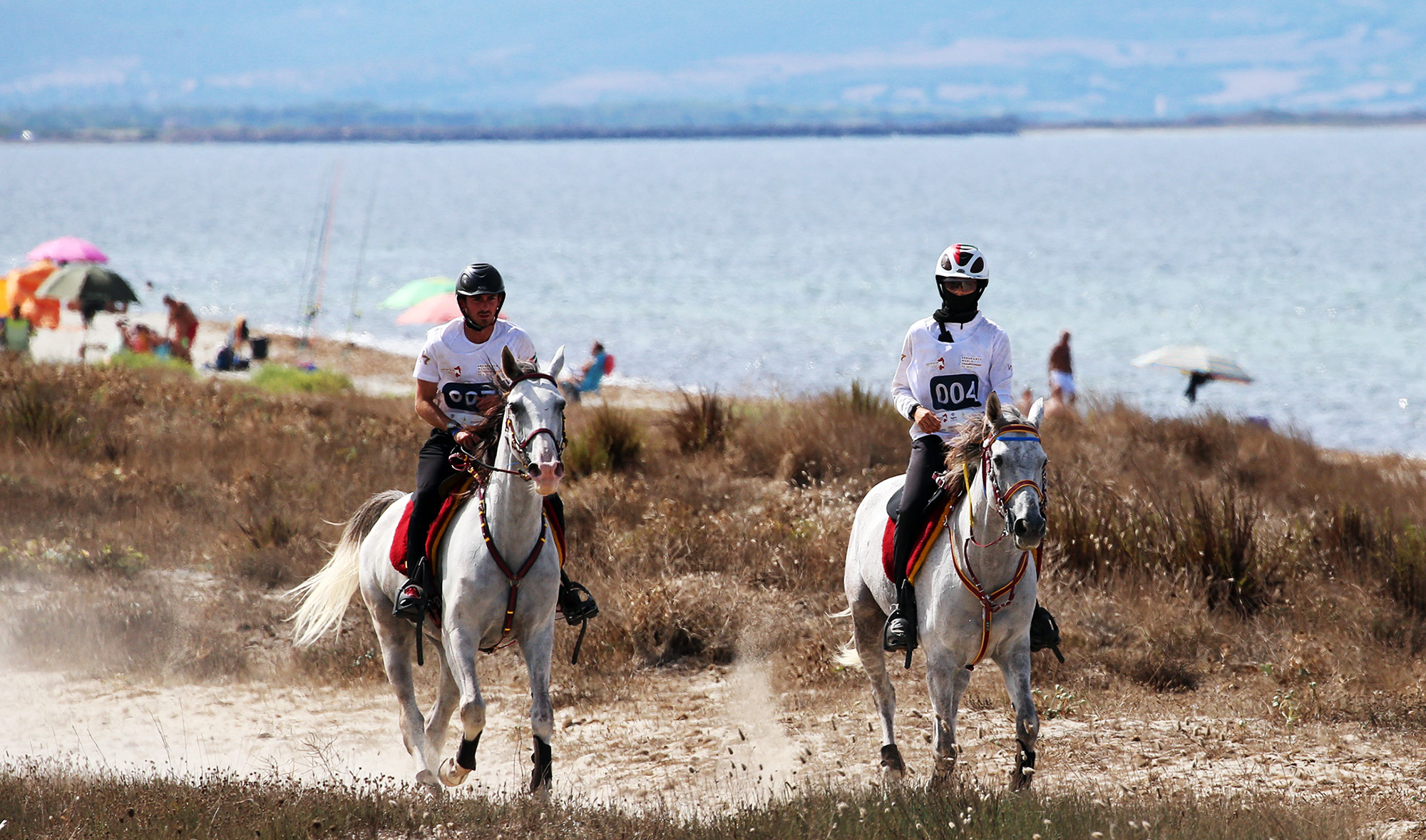 La Sardegna di nuovo protagonista dell'Endurance mondiale 1 Mondiali giovani cavalli 2021