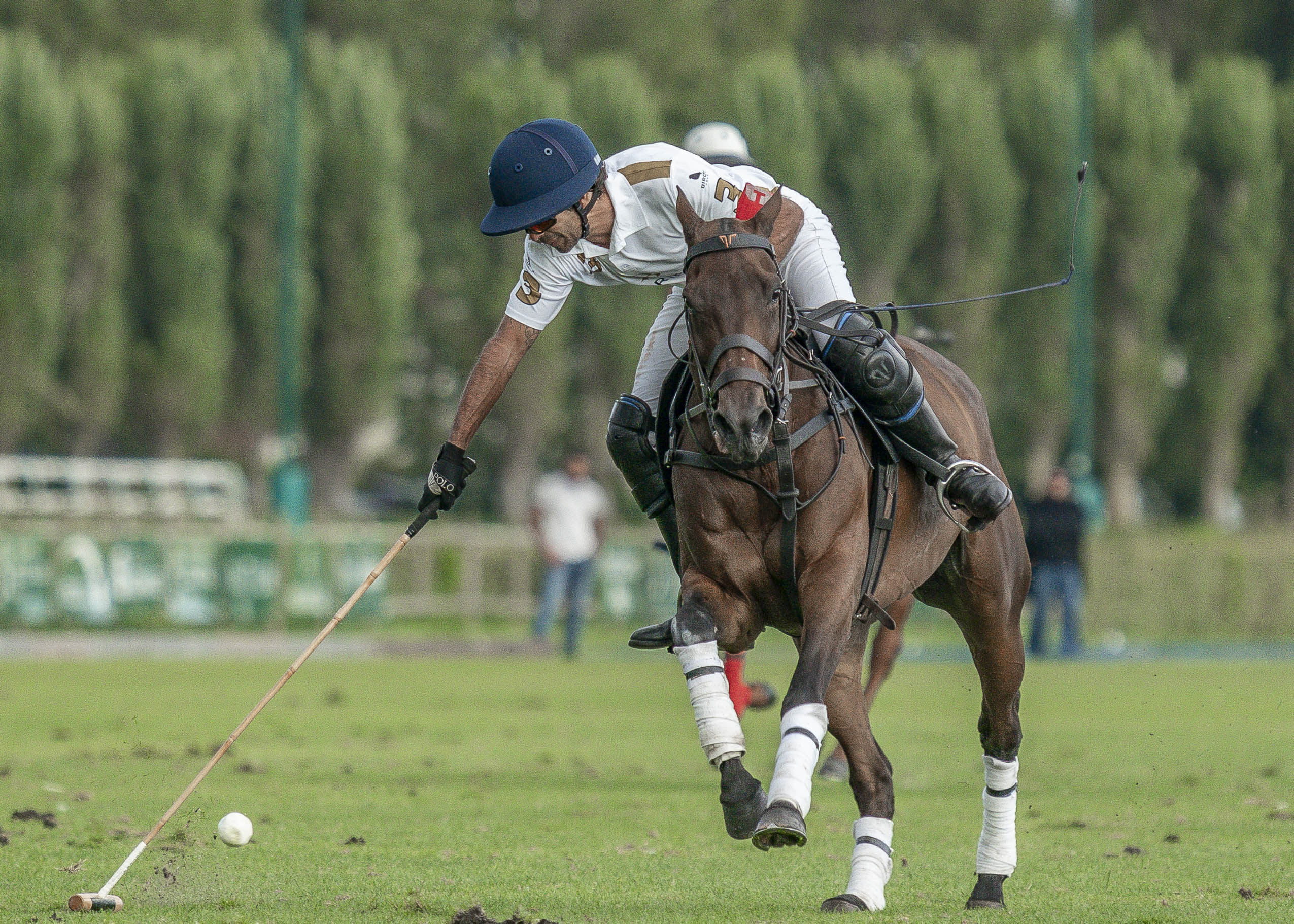 BARRIÈRE AND LOS DRAGONES ROUGE IN THE FINAL OF THE COUPE D’OR LUCIEN AND MARTHA BARRIÈRE 1 Juan Martin Zavaleta