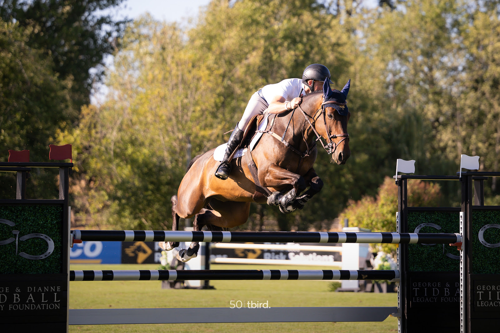 Victorious reunion for Matthew Sampson and Curraghgraigue Obos Light 1 Matt Sampson (GBR) and Curraghgraigue Obos Flight.