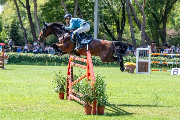 Natale Chiaudani e Cintender Gran Premio Le Siepi Cervia