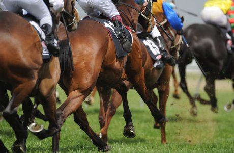Fantini durante una corso di galoppo per rappresentare le corse all'Ippodromo di Livorno