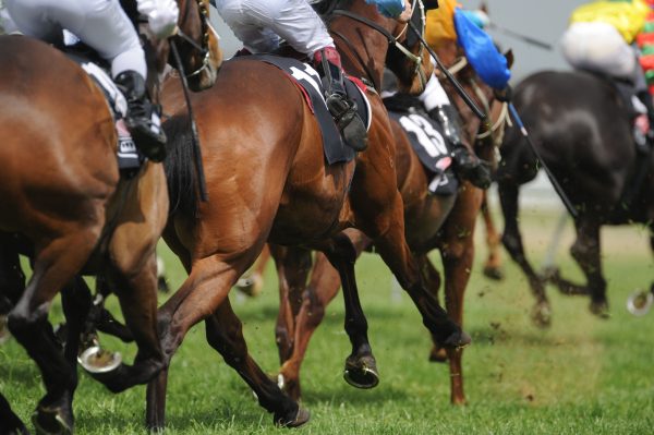 Fantini durante una corso di galoppo per rappresentare le corse all'Ippodromo di Livorno