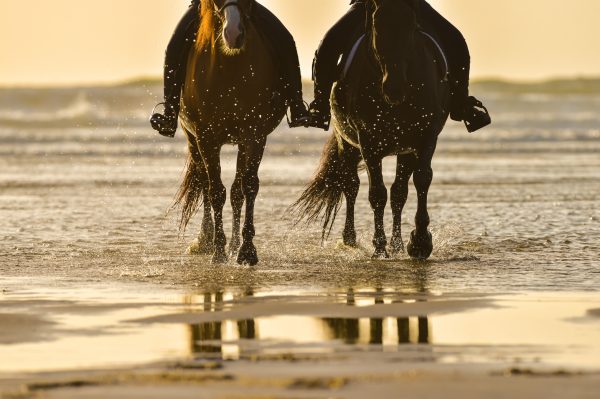 Foto di due persone mentre sperimentano passeggiate a cavallo in Puglia in riva al mare