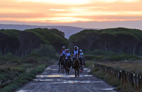 Sardegna Endurance Festival 2023