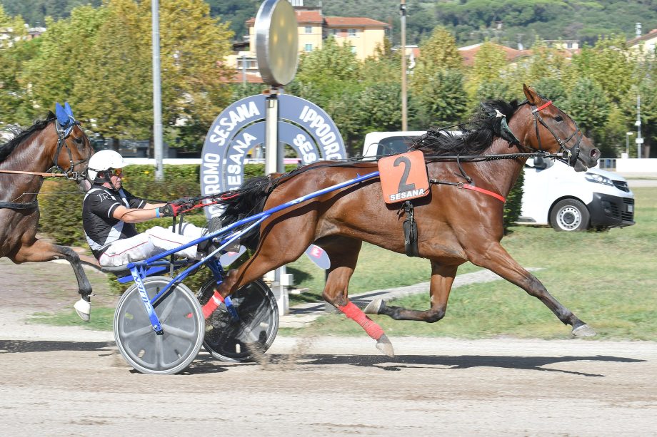 Falaghina Roc all'ippodromo SNAI Sesana si brinda 2 CORSA1 PREMIO SCUDERIA MARSKO 1
