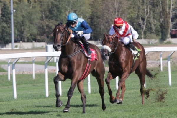 Ippodromo snai san siro PREMIO RICCARDO ZANOCCHIO