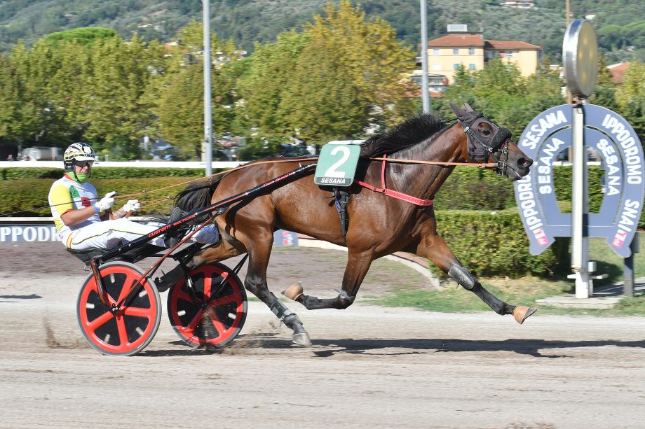 Falaghina Roc all'ippodromo SNAI Sesana si brinda 3 CORSA3 PREMIO SCUDERIA BABY STABLE 1