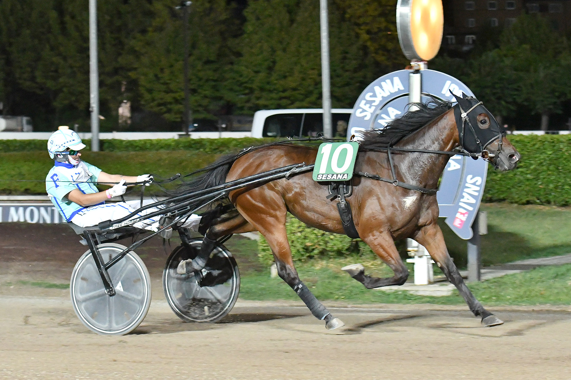All’Ippodromo SNAI Sesana il promettente Fellow Wise As fa il Premio Paolo Facci 3 CORSA3 PREMIO T.A.C.MOSTRA MERCATO AUTO E MOTO DEPOCA
