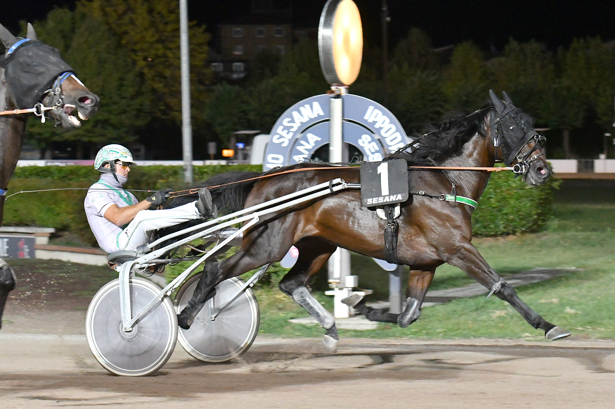 All’Ippodromo SNAI Sesana il promettente Fellow Wise As fa il Premio Paolo Facci 4 CORSA4 PREMIO VELLANO FESTA DELLE CASTAGNE 2023