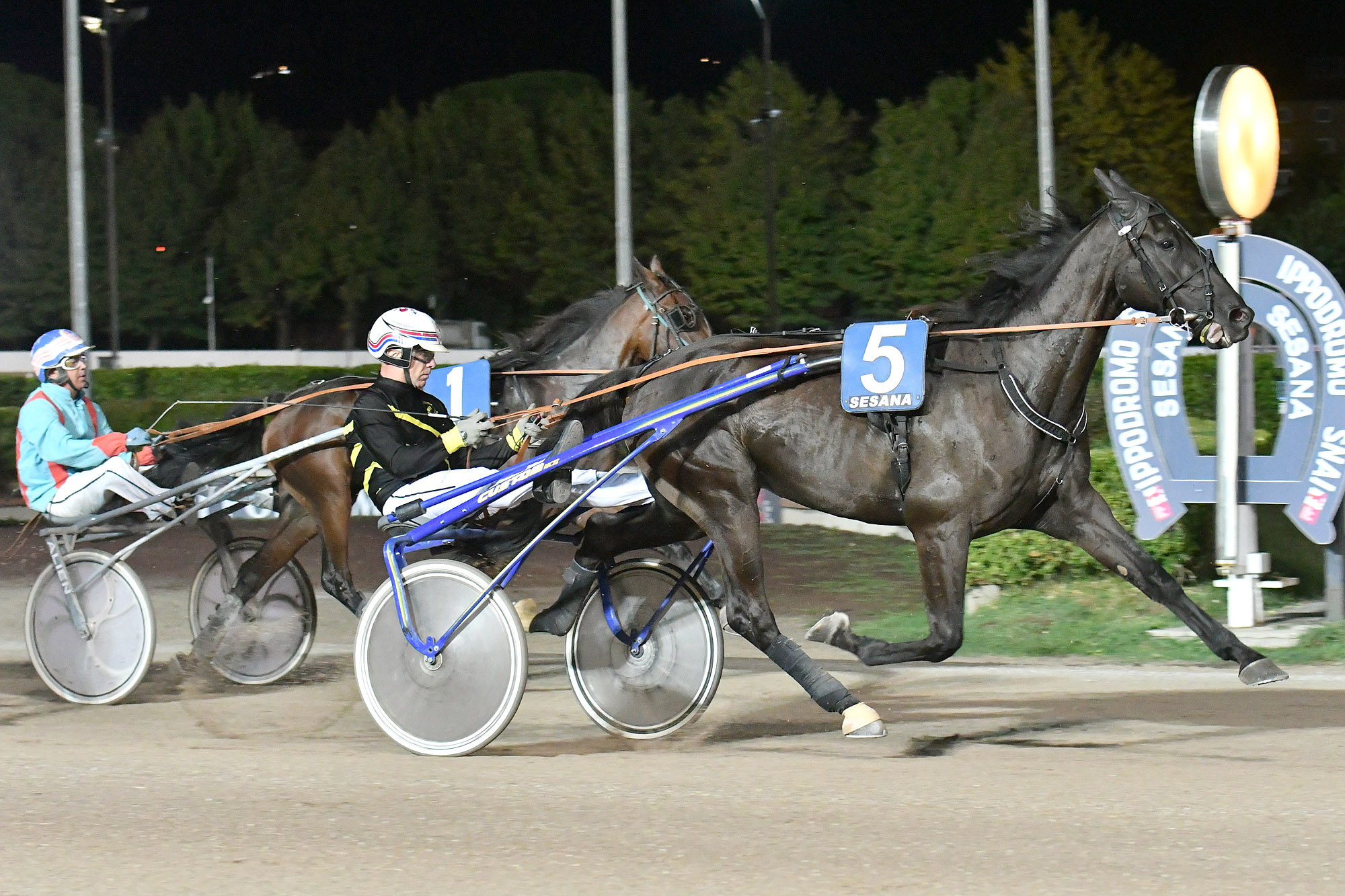 All’Ippodromo SNAI Sesana il promettente Fellow Wise As fa il Premio Paolo Facci 5 CORSA5 PREMIO CIRCOLO SANDRO MALTAGLIATI VELLANO