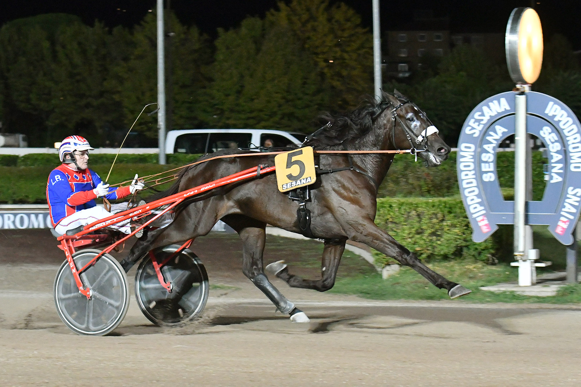 All’Ippodromo SNAI Sesana il promettente Fellow Wise As fa il Premio Paolo Facci 1 Premio Paolo Facci Corsa 6 arrivo Ippodromo SNAI Sesana