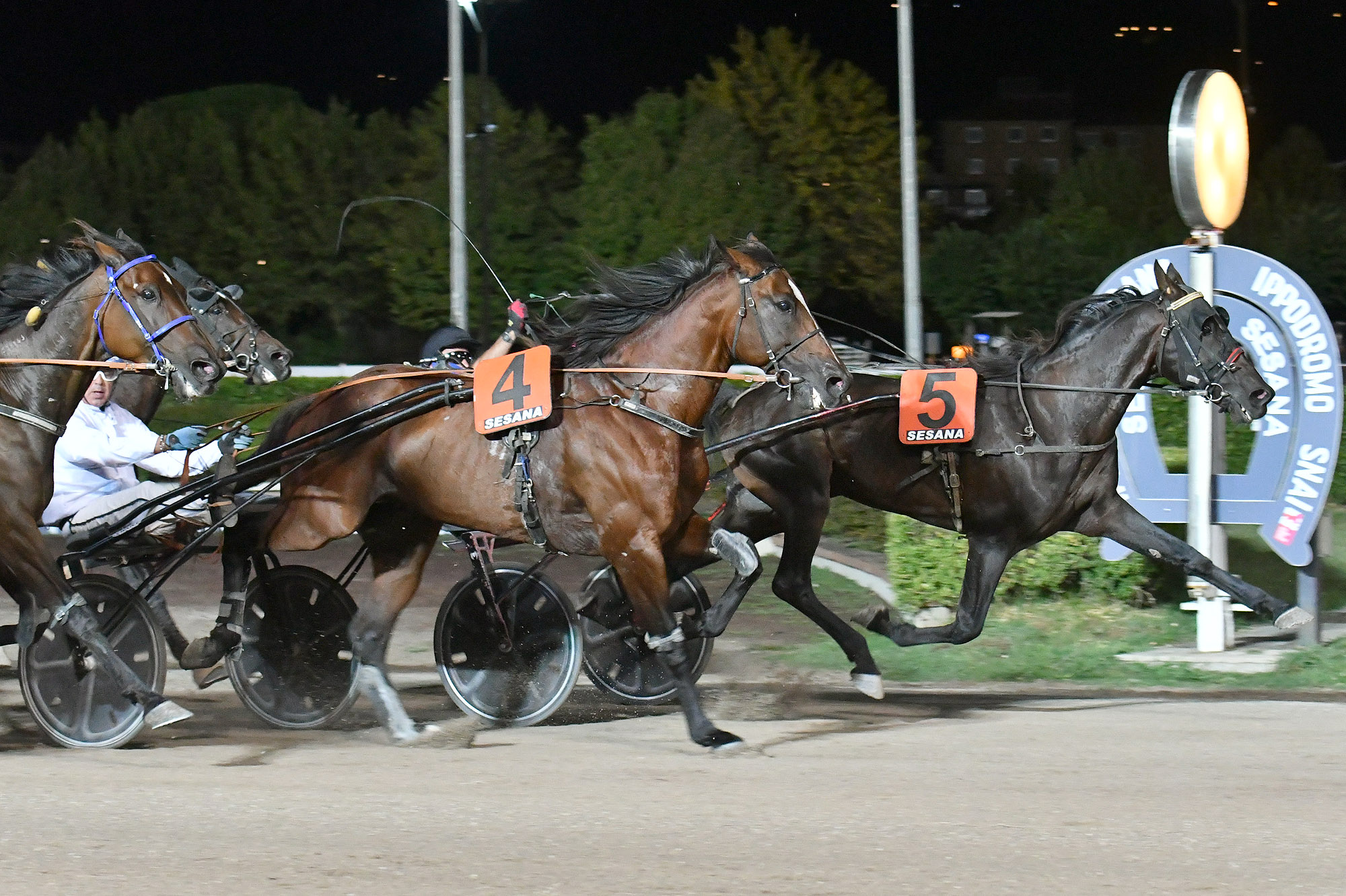 All’Ippodromo SNAI Sesana il promettente Fellow Wise As fa il Premio Paolo Facci 2 CORSA7 PREMIO TROFEO DENIS COKU FINALE