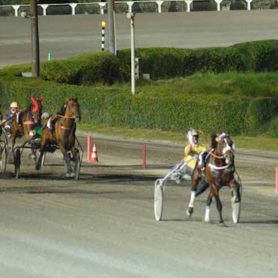 CORSA ippodromo San Paolo di Montegiorgio