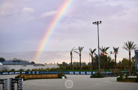 The upcoming season 2023/2024 at Desert International Horse Park 1 Desert International Horse Park