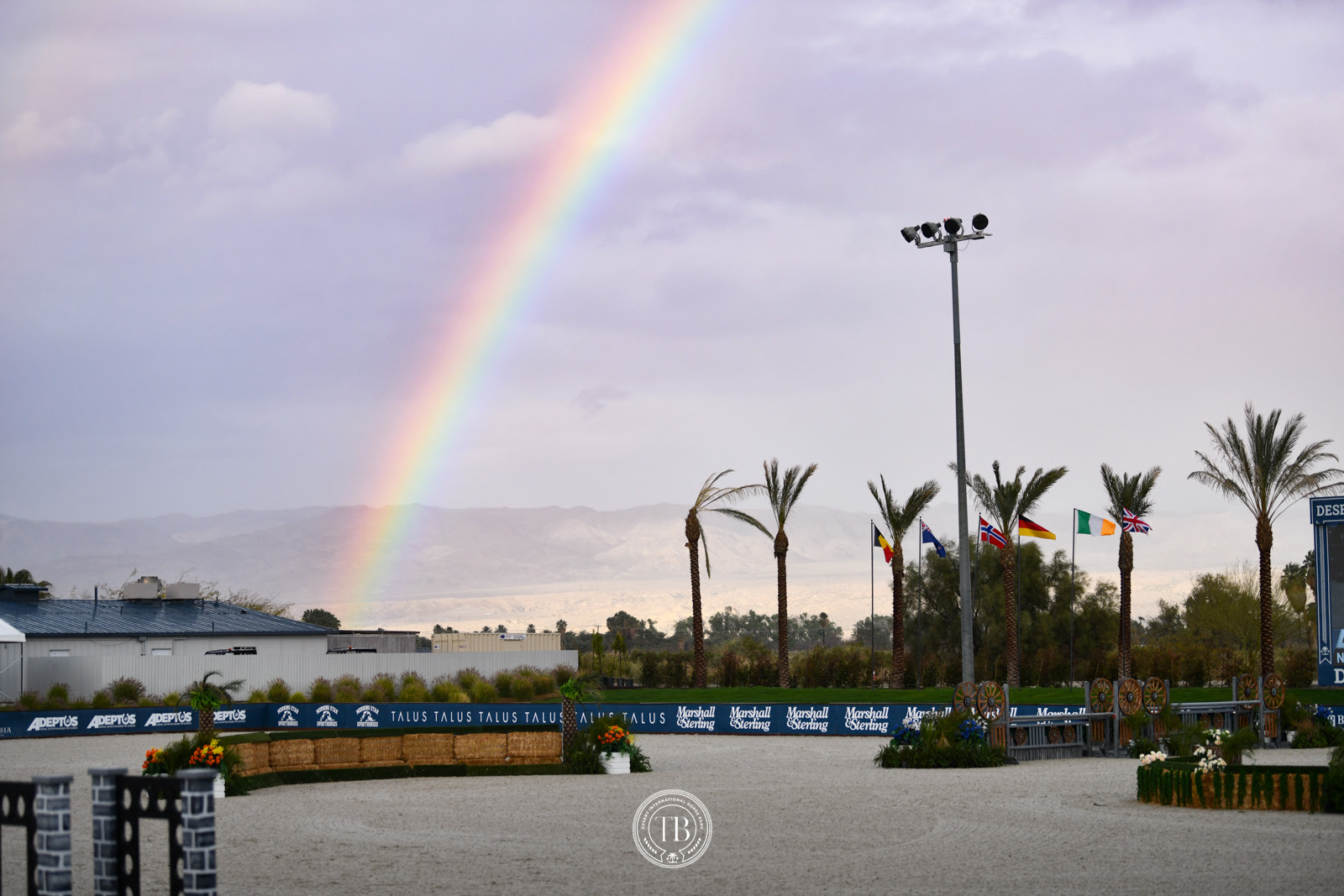 Desert International Horse Park