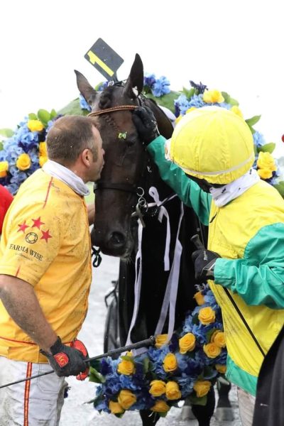 International Trot Alessandro Gocciadoro