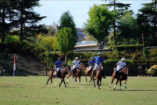 Partita-polo-FISE