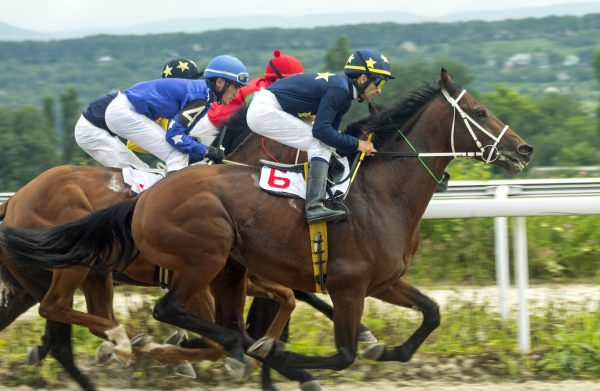 Foto di una corsa di galoppo