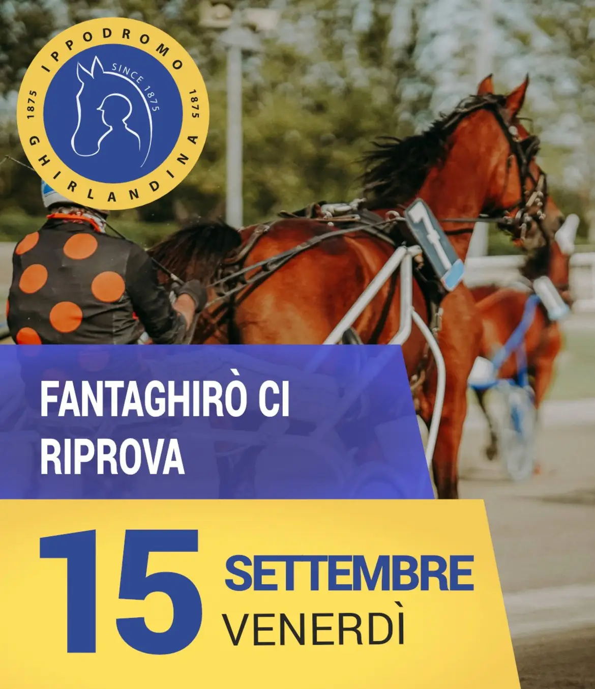 A Modena Fantaghirò Grif tenta l'immediato riscatto. 1 IMG 6712
