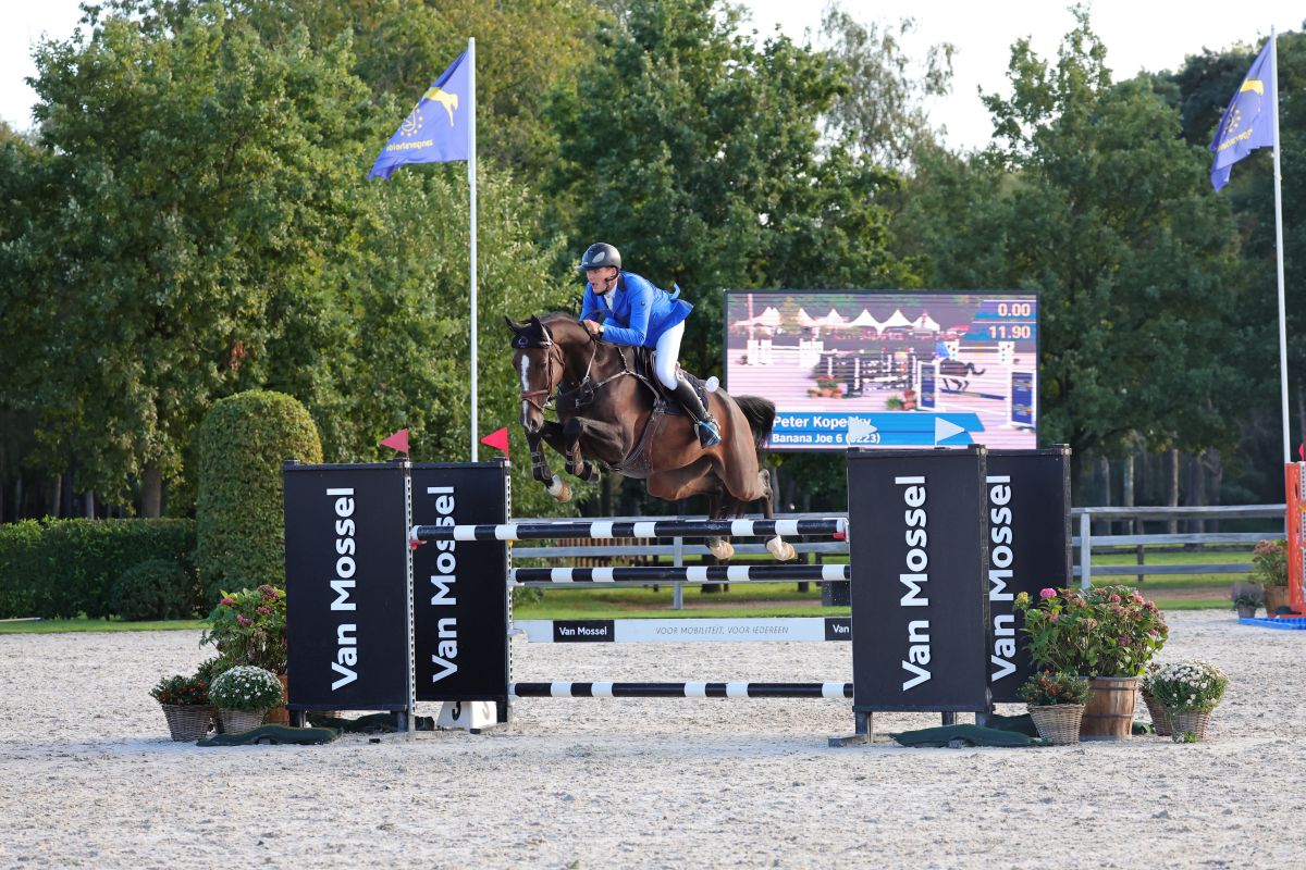 Campionati del mondo giovani cavalli di Lanaken: i risultati del secondo giorno 5 IMG 6929