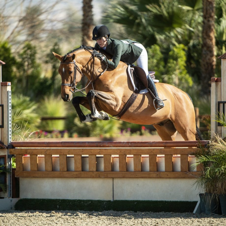 Juan Carlos ridden by Irene Neuwirth Desert International Horse Park